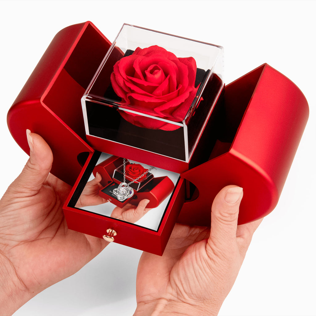 Love Knot Necklace with Red Heart Rose Box